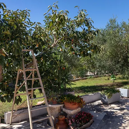 Dimora Sweet Home, With Pool Holiday home *